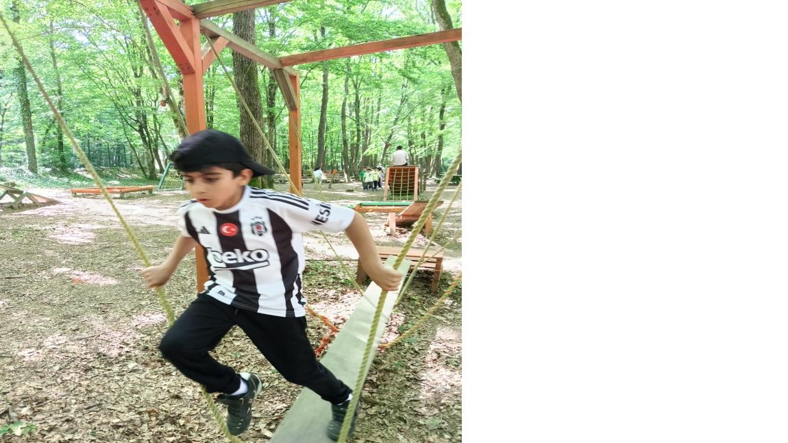 Doğada Bir Gün